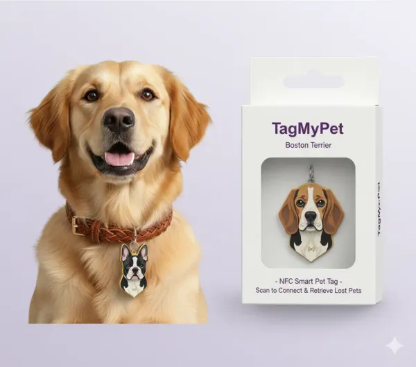 Screenshot of TagMyPet — Etiquetas inteligentes NFC para mascotas project - Diseño 3D
